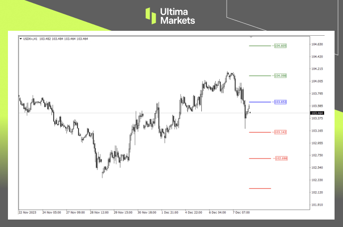 Ultima Markets MT4 Pivot Indicator for USDX